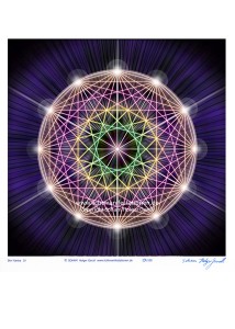 L-7.4.307 Universelles Kosmogramm